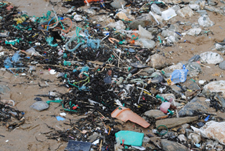 Watergate Bay strandline